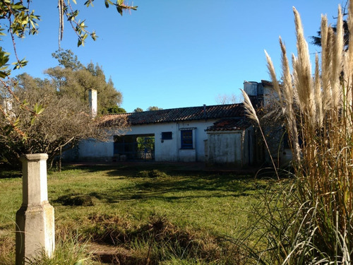 Imagen 19 de 26 de Casa Quinta En Las Dalias