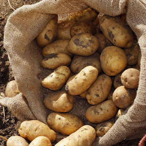 4 Peças De Sacos De Estopa Grandes E Pesados, Pote De Juta D