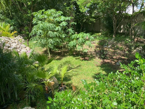 Imagen 2 de 6 de Venta Terreno San Ramon Norte