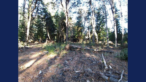 Imagen 25 de 26 de Venta Lote/terreno De 4955.50 M2 Cauquen 100 Altos De Manzano Villa La Angostura