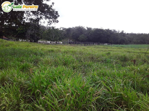 Imagem 3 de 15 de Fazenda Á Venda Em Recursolândia - Ms - 1.132 Hectares (pecuária) - 2188