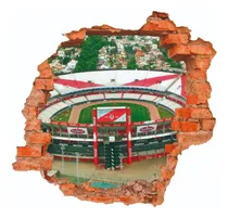 Comprar Vinilos Decorativos 3d Pared Rota Mural River Plate 