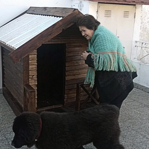 Cucha Casa Para Perro Grande - Modelo Premium