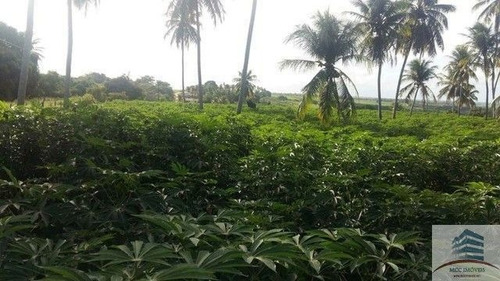 Granja A Venda São José De Pipibú