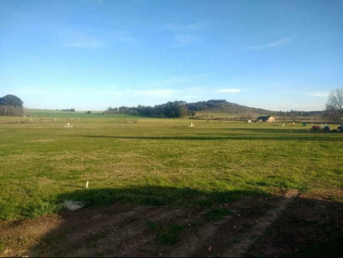 Imagen 3 de 6 de Terreno - Tandil