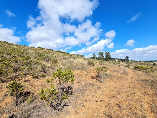 Imagen 20 de 25 de Parcelas De 5.000 Con/sin Vista Mar En Condominio Algarrobo
