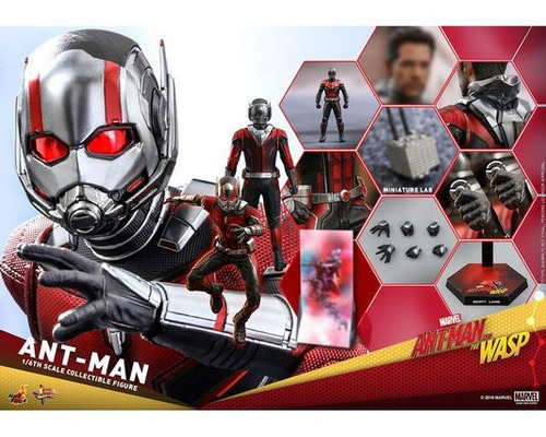 Figura Ant Man - Marvel - Figura 1/6 - Hot Toys