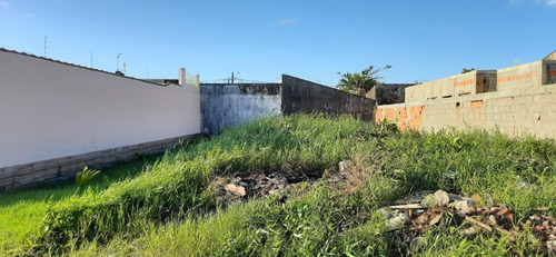 Imagem 3 de 3 de Terreno - 0142 - 71021793