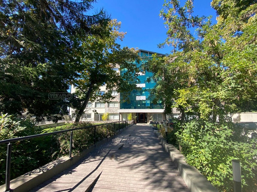 Departamento  En Venta En Belgrano, Bariloche, Patagonia