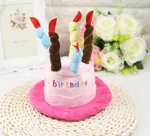 Imagen 4 de 5 de Gorro Cumpleaños Feliz Mascotas Perro Gato