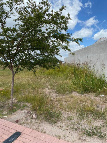 Imagen 3 de 9 de Ciudad Maderas Querétaro, Condominio Fresno 45