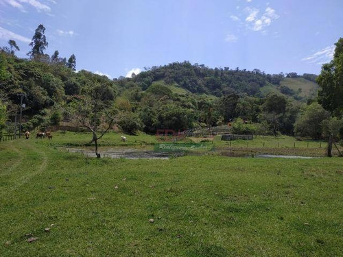Imagem 4 de 5 de Sítio À Venda, 29000 M² Por R$ 500.000,00 - Borda Do Campo - Cunha/sp - Si0020