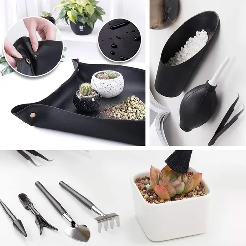 21 Piezas De Herramientas Para Plantas Suculentas, Kit De He