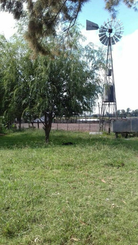 Imagen 8 de 15 de Venta Campo Mixto En Pergamino 27 Hectareas