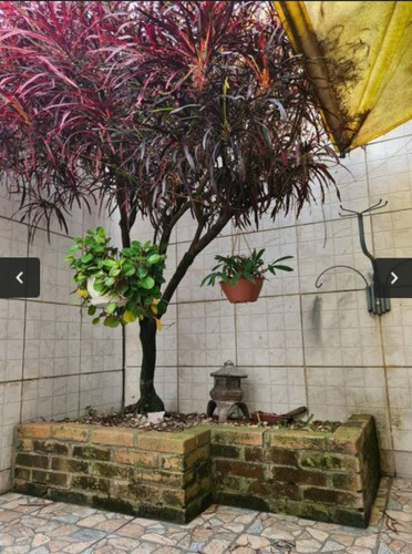 Imagem 18 de 30 de Sobrado 135m² Em Condomínio - 4 Dormitórios Sendo 1 Suíte, 2 Vagas, Lazer, Conforto E Segurança Para A Família Toda! Jordanópolis/sbc - So00209 - 69833890