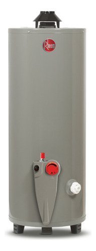 Calentador De Agua Rheem De Depósito 76 Litros A Gas Lp