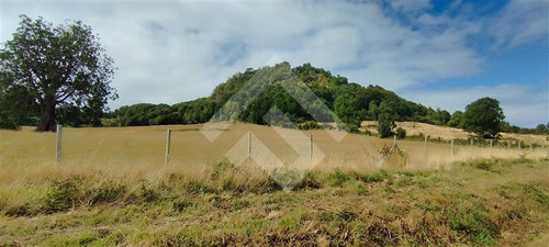Parcela - 5.000 M2 Cada Una - Cascadas - Puerto Octay