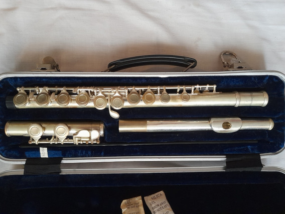 nitrógeno pómulo jueves Flauta Transversa Usada | MercadoLibre 📦