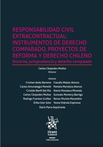 Responsabilidad Civil Extracontractual: Instrumentos De...