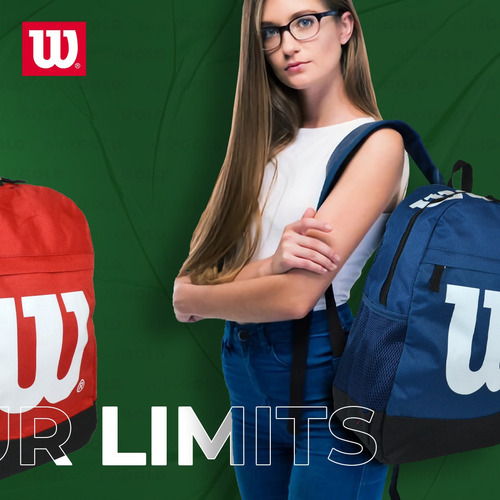 Imagen 6 de 10 de Mochila Wilson Porta Notebook Urbana Deportes Gym Reforzada