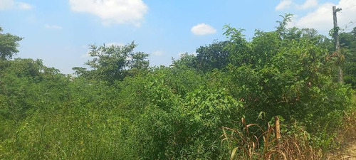 Venta 2 Lotes De 486 M² Col. Circulo Michoacano Poza Rica Ver