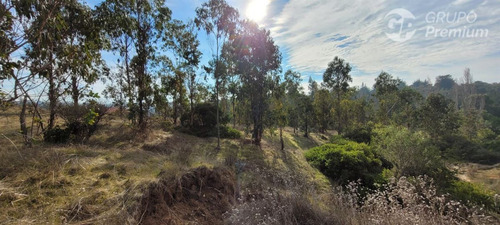 Terreno En Venta En Comuna De Navidad, 5.000 M2, Vi Región,