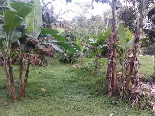 Venta De Finca En Villeta, Vereda Cune.