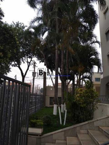 Apartamento Duplex - Vila Matilde - 3 Dormitórios -