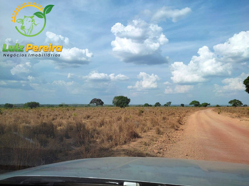 Imagem 6 de 12 de Fazenda À Venda Em Abreulândia - Pa - 1.427,8 Hectare (dupla Aptidão) - 2038