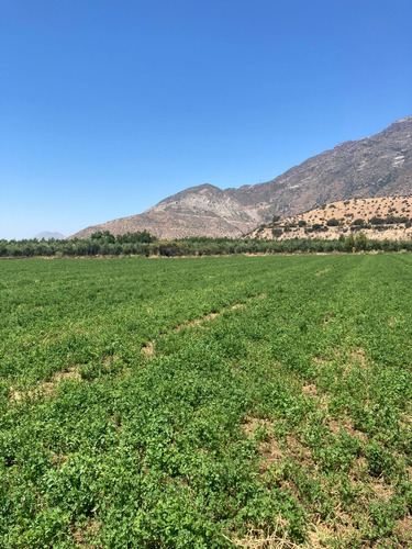 Oportunidad! Venta Terreno Agrícola En Catemu 17,9 Hectáreas