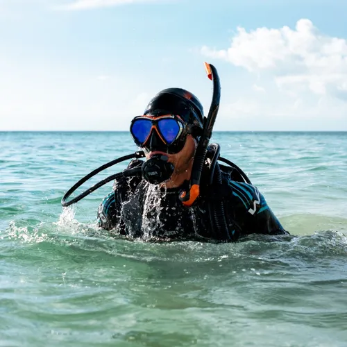 Padi Divemaster Curso De Buceo