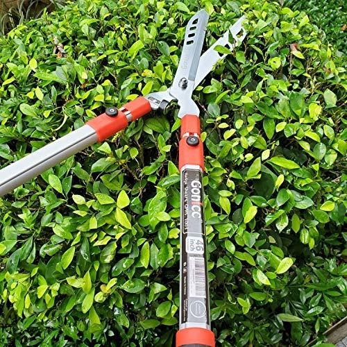 Tijeras De Seto Profesionales Gonicc 33puLG + 13puLG, Mango