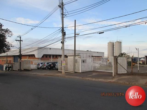 Imagem 17 de 17 de Comercial/industrial - Ref: 204964