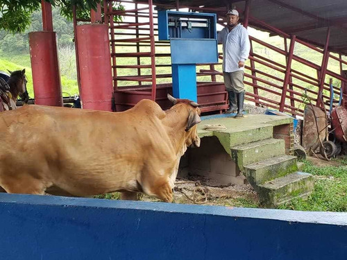 Imagen 4 de 23 de Finca Productivo En Tachira