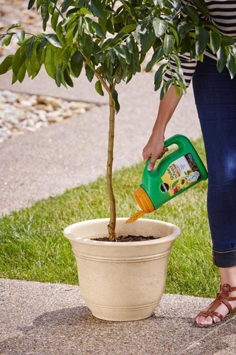 Miracle-gro Fertilizante Cítricos, Aguacate Y Mango 2kg