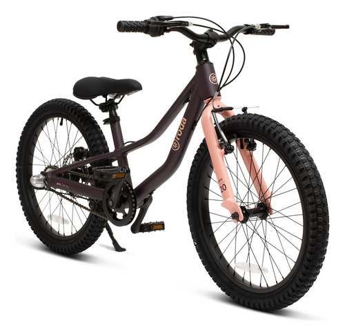 Bicicleta Roda Pro Series Aro 20 Color Purple-pink