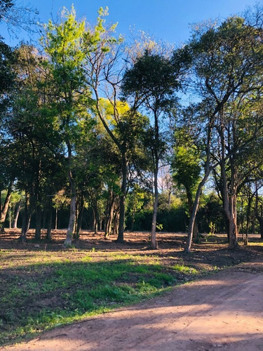 Imagen 8 de 8 de Venta Terrenos Super Arbolados En Zona Casa Quintas -