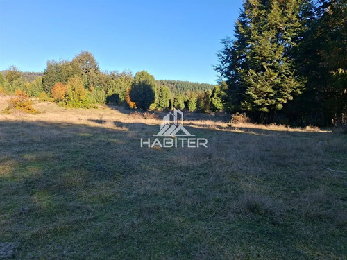 Cod40230 Venta Agricola 29h Y Casa Dicahue Lago Colico Cunco