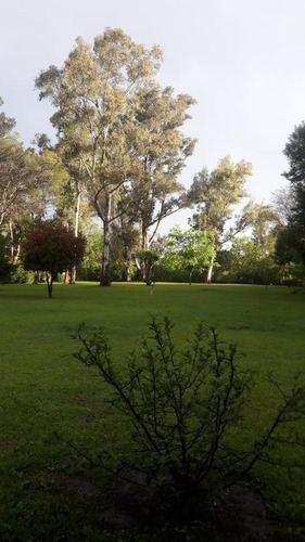 Imagen 8 de 14 de Vende Financia Permuta Quinta 4500 M2 Casa 4 Amb - Olivera