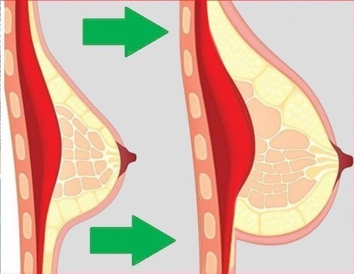 Imagen 5 de 7 de Pueraria Mirifica 100 Caps Original Usa La Menopausia Suave