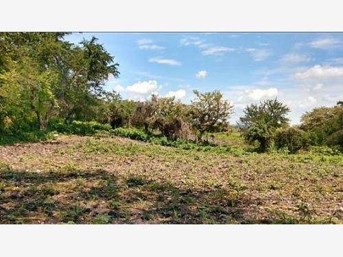 Imagen 2 de 7 de Terreno En Venta Alpuyeca , Morelos