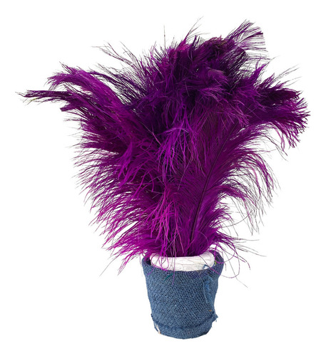 Plumas Avestruz Palito Ideal Carnaval Trajes Agremiação 100g Cor Violeta