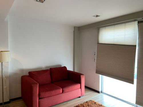 Loft Ejecutivo En Renta En La Colonia La Paz