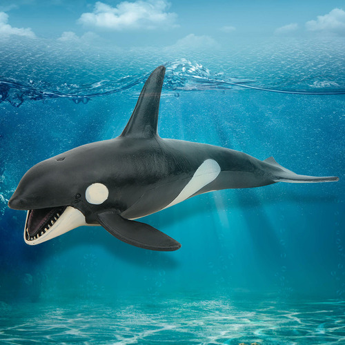 Modelo Animal De Simulación De Forma De Ballena Asesina Para