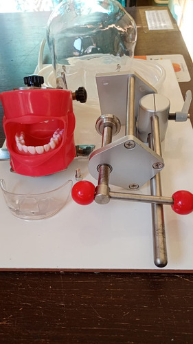 Fantoma Dental Maniquí Con Tipodento Práctica Odontología