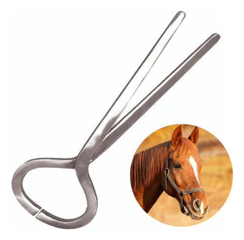 Pinza Hoof Tester Para Caballo Probador De Cascos 34 Cm