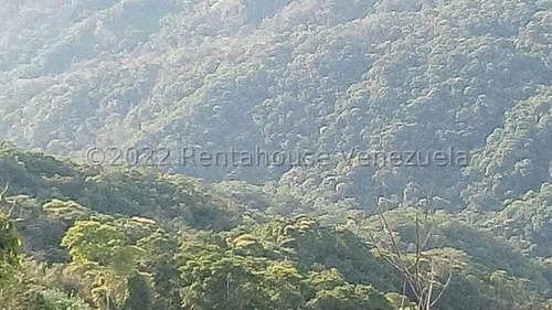 39842m2 En Turgua (el Hatillo)fundo Agrícola Recreacional Con Clima De Montaña, Mls#22-28764