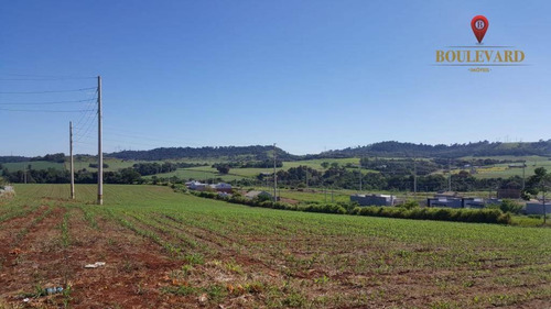 Imagem 1 de 11 de Área À Venda, 60000 M² Por R$ 7.800.000,00 - Centro - São Miguel Do Iguaçu/pr - Ar0003