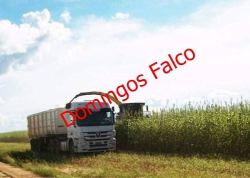 Venda - Fazenda - Zona Rural - Goiânia - Go - D0474