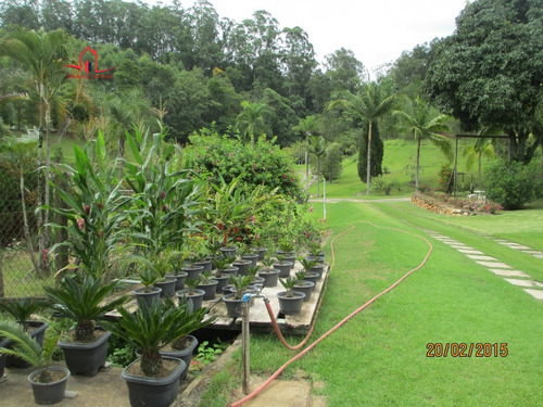 Sítio A Venda No Bairro Chácaras Campo Limpo Em Campo - 172-1